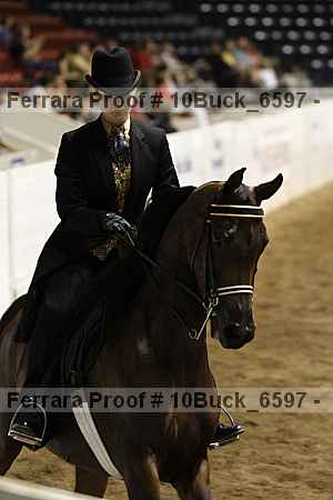 Proof 10buck_6597