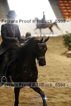 Proof 10buck_6598