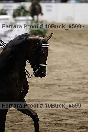 Proof 10buck_6599