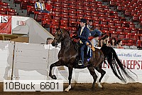 10buck_6601 proof