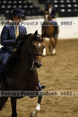 Proof 10buck_6602