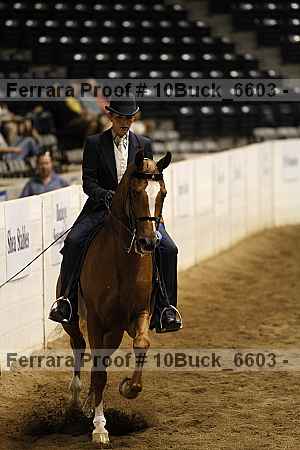 Proof 10buck_6603