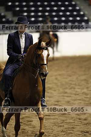 Proof 10buck_6605