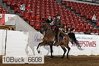 10buck_6608 proof