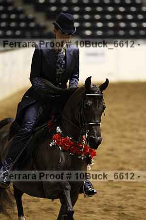 Proof 10buck_6612