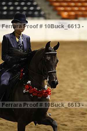 Proof 10buck_6613