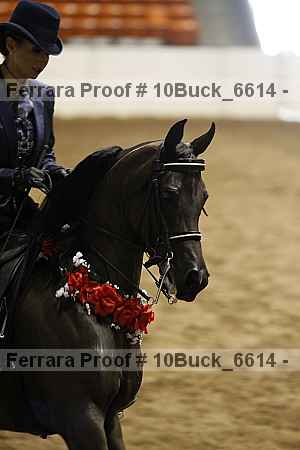 Proof 10buck_6614