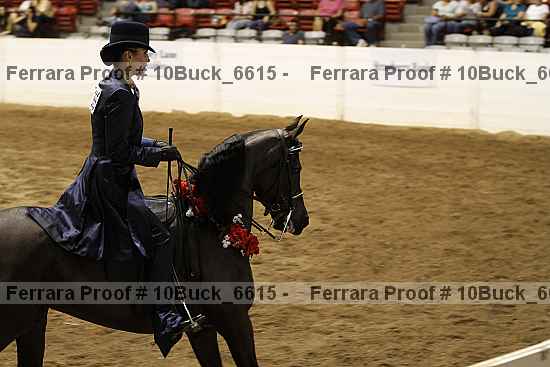 Proof 10buck_6615