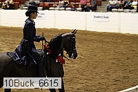 10buck_6615 proof