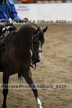 Proof 10buck_6629