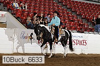 10buck_6633 proof