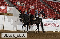 10buck_6638 proof
