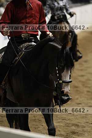 Proof 10buck_6642