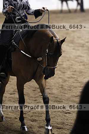 Proof 10buck_6643