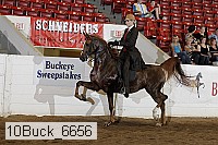 10buck_6656 proof