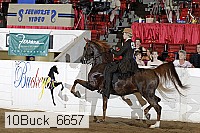 10buck_6657 proof