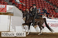 10buck_6661 proof