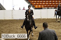10buck_6666 proof