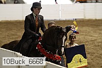 10buck_6668 proof