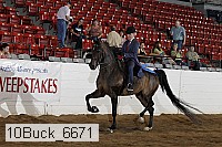 10buck_6671 proof