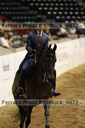 Proof 10buck_6672