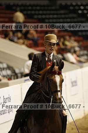Proof 10buck_6677