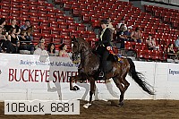 10buck_6681 proof