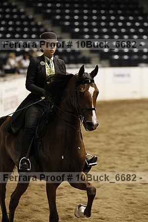 Proof 10buck_6682