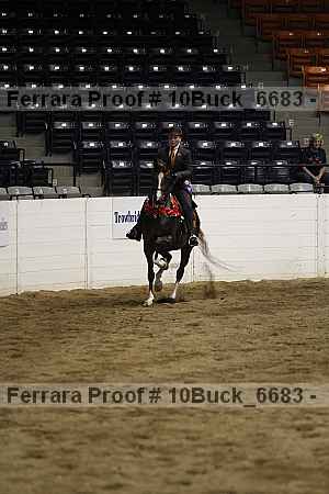 Proof 10buck_6683