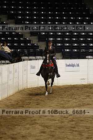 Proof 10buck_6684