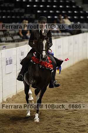 Proof 10buck_6686