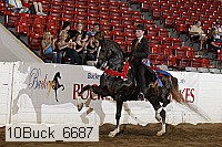10buck_6687 proof
