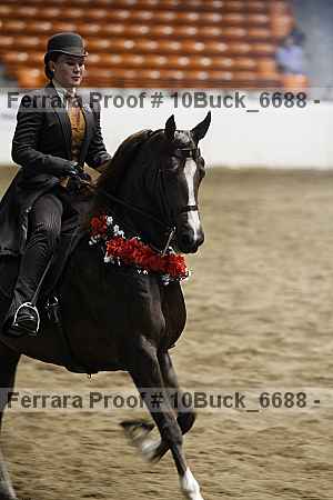 Proof 10buck_6688