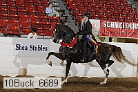 10buck_6689 proof