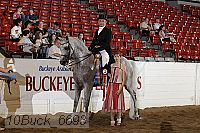 10buck_6693 proof