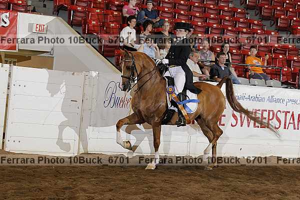 Proof 10buck_6701