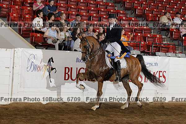 Proof 10buck_6709