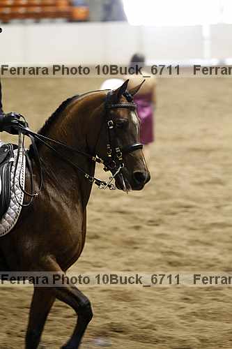 Proof 10buck_6711