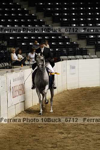 Proof 10buck_6712
