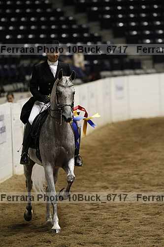 Proof 10buck_6717