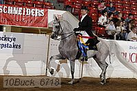 10buck_6718 proof