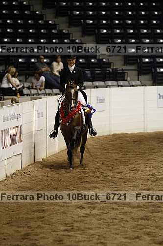 Proof 10buck_6721