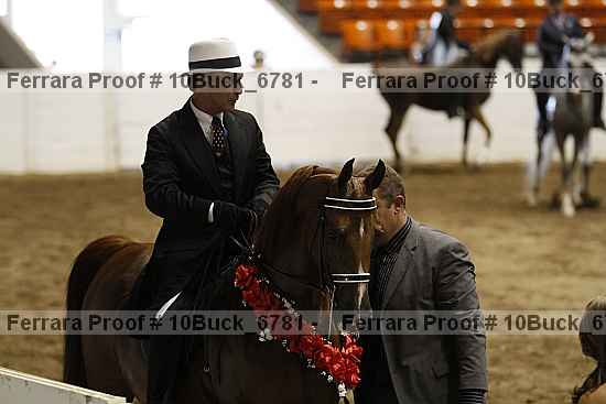 Proof 10buck_6781