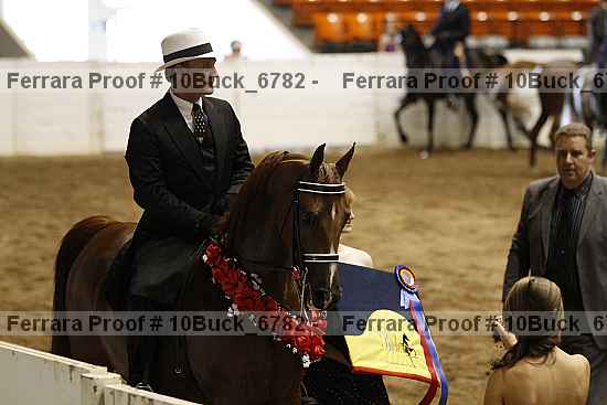 Proof 10buck_6782