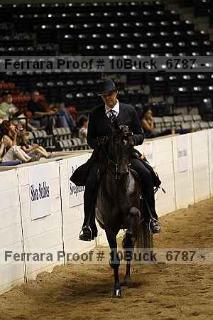 Proof 10buck_6787