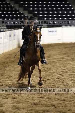 Proof 10buck_6790