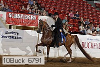 10buck_6791 proof