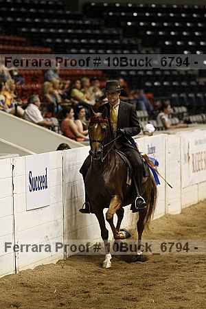 Proof 10buck_6794