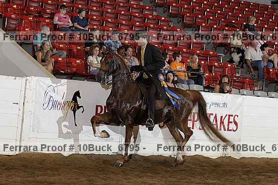 Proof 10buck_6795