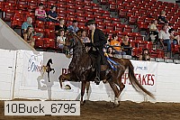10buck_6795 proof